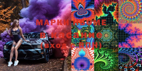 стаф Вязьма