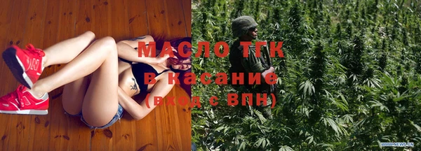 стаф Вязьма