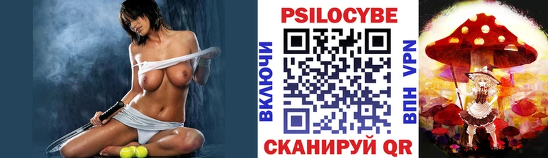 купить наркоту  Нерюнгри  Псилоцибиновые грибы мицелий 