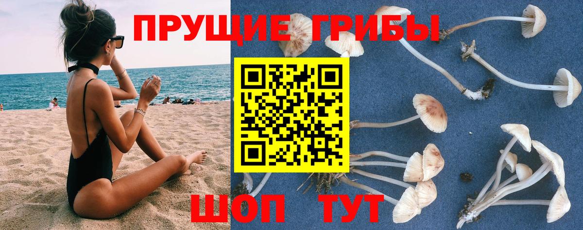 Галлюциногенные грибы GOLDEN TEACHER Нерюнгри