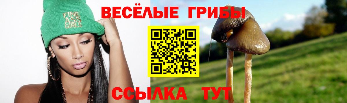магазин    Галлюциногенные грибы GOLDEN TEACHER  Нерюнгри  Вход с VPN  Псилоцибиновые грибы мухоморы 