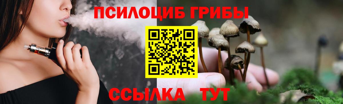 Галлюциногенные грибы GOLDEN TEACHER  Нерюнгри  Галлюциногенные грибы GOLDEN TEACHER 